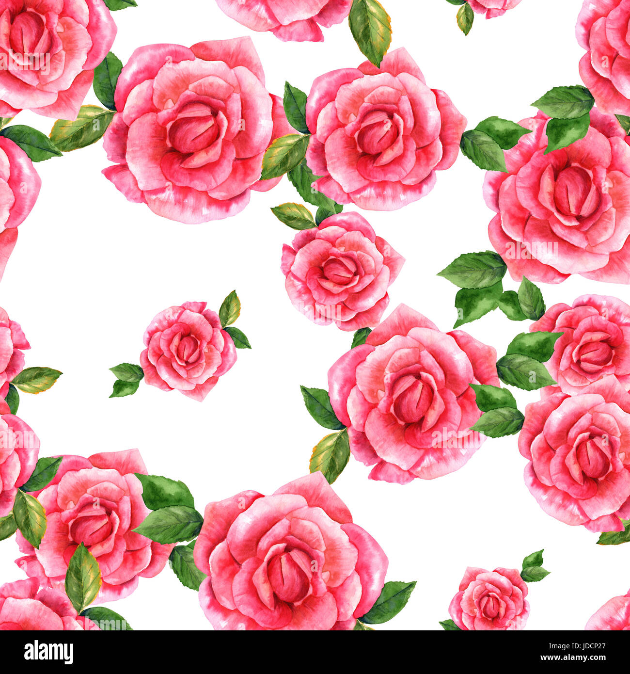 Ein nahtloses Muster mit einem Aquarell Zeichnung einer blühenden rosa rose, Hand bemalt auf weißem Hintergrund im Stil von Vintage botanische Kunst Stockfoto