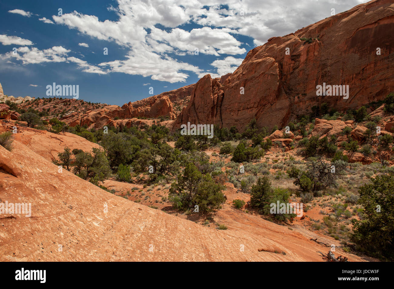 Untere Alternativsäge Twist Canyon, wie aus der Trailhead im Capitol Reef National Park, Utah Stockfoto