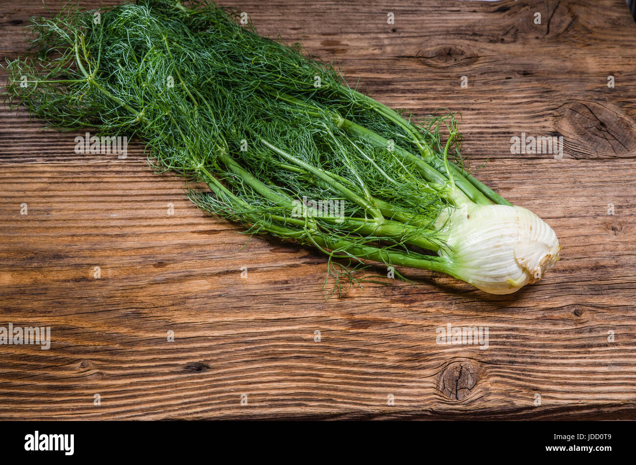 Frisch geerntete Fenchel oder Anis Birne auf einem rustikalen Tisch Stockfoto