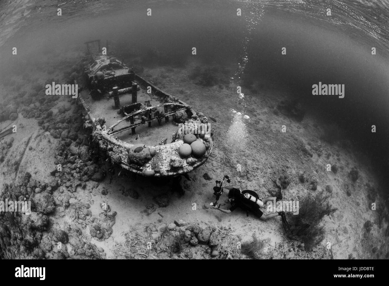 Schlepper-Wrack in Curaçao Stockfoto