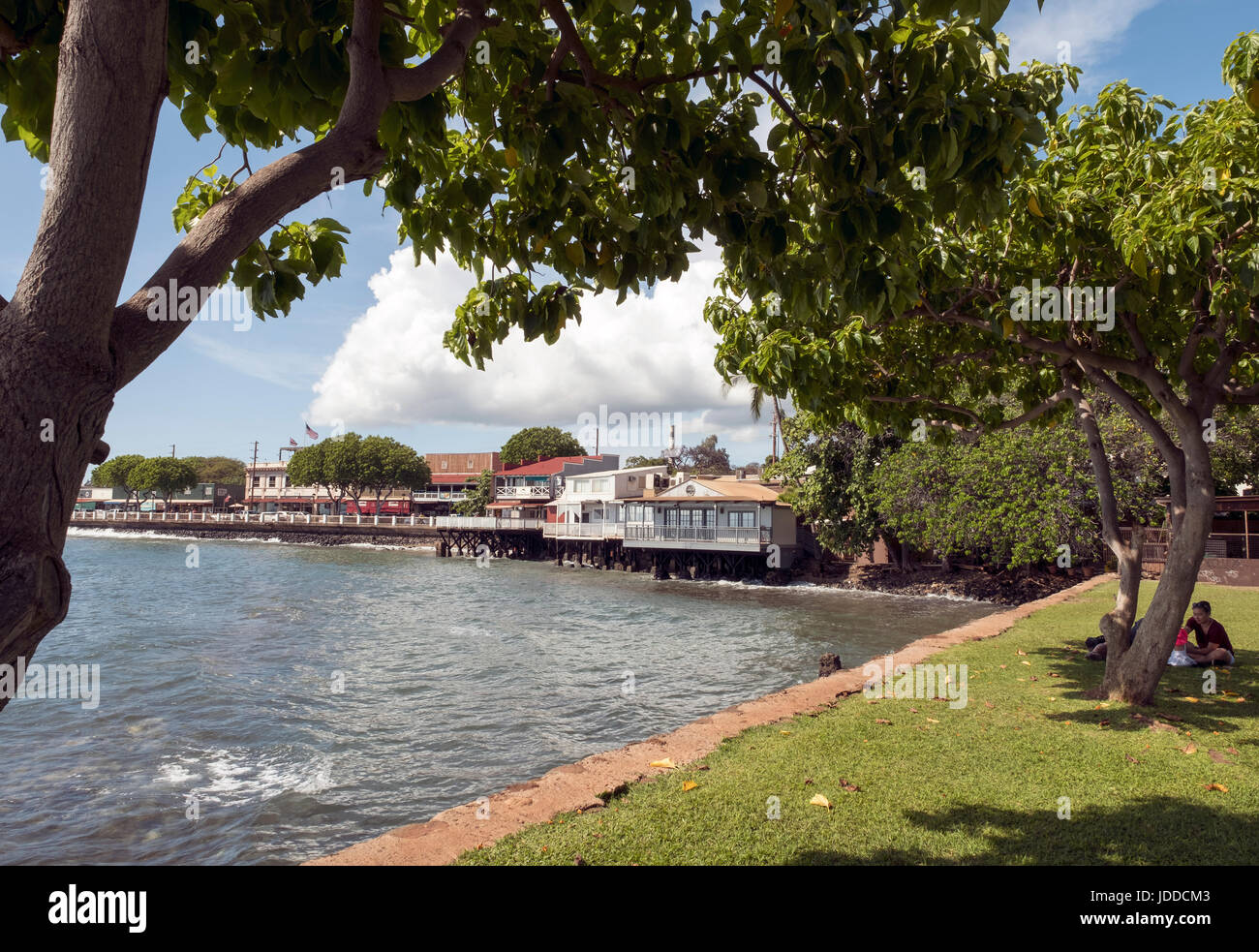 Hafen von Lahaina auf der Insel Maui, Hawaii. Stockfoto