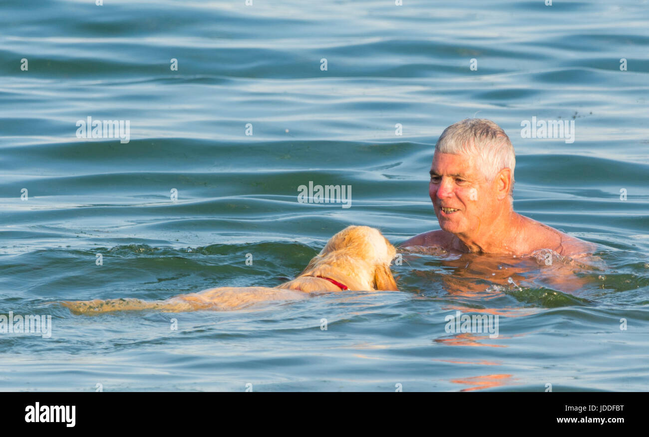 Mann und sein Hund haben einen Abend schwimmen im Meer erfrischen Sie sich während einer Hitzewelle. Stockfoto