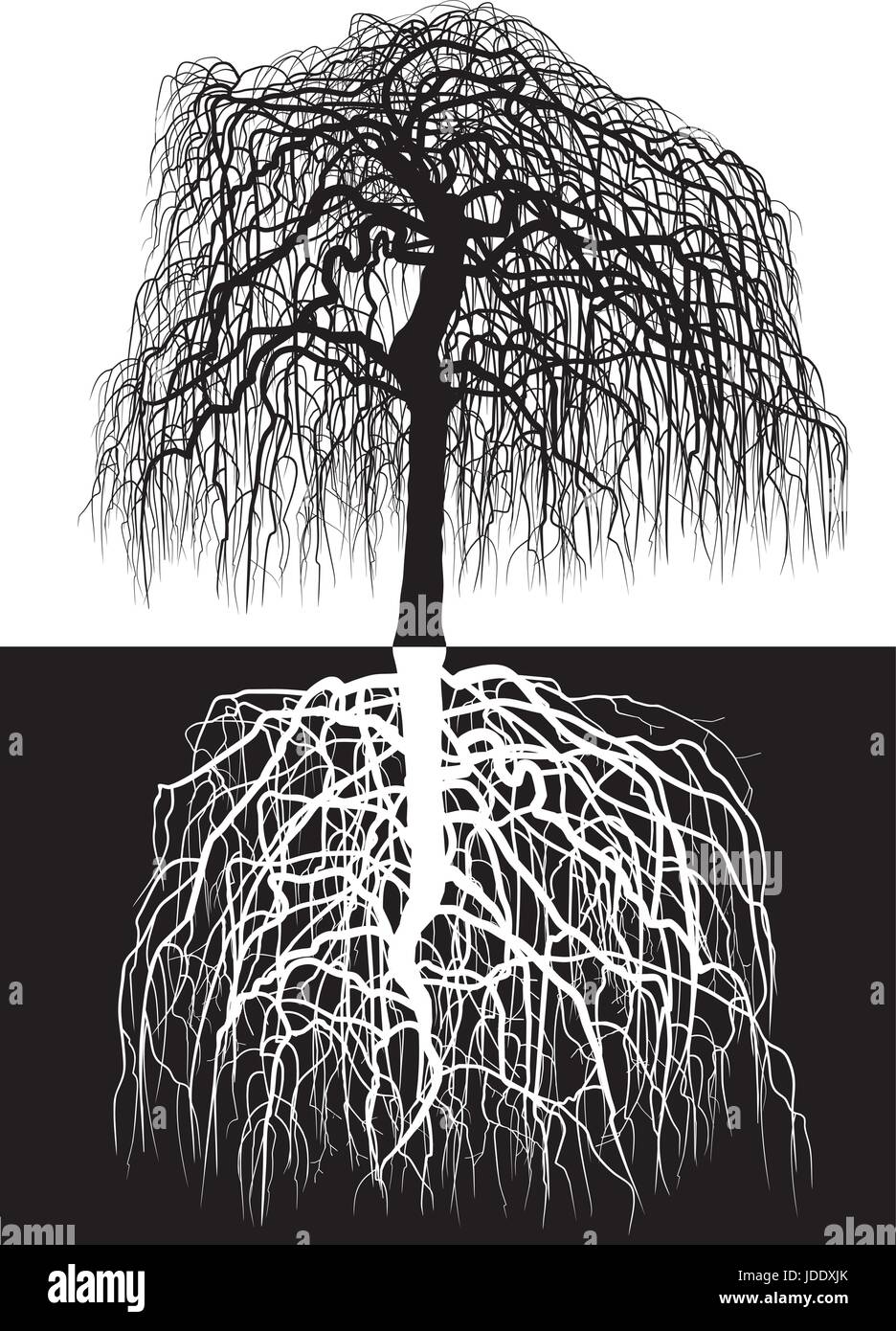 Glyzinien Baum mit Wurzeln Stock Vektor