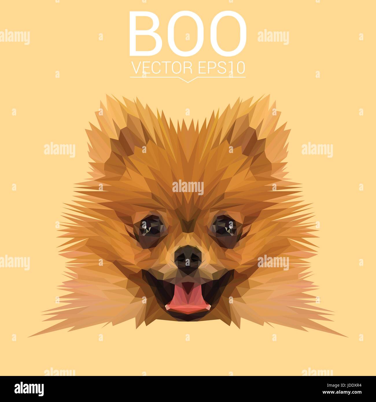 Boo Pommerschen Hund Tier low-Poly-Design. Dreieck-Vektor-Illustration. Stock Vektor