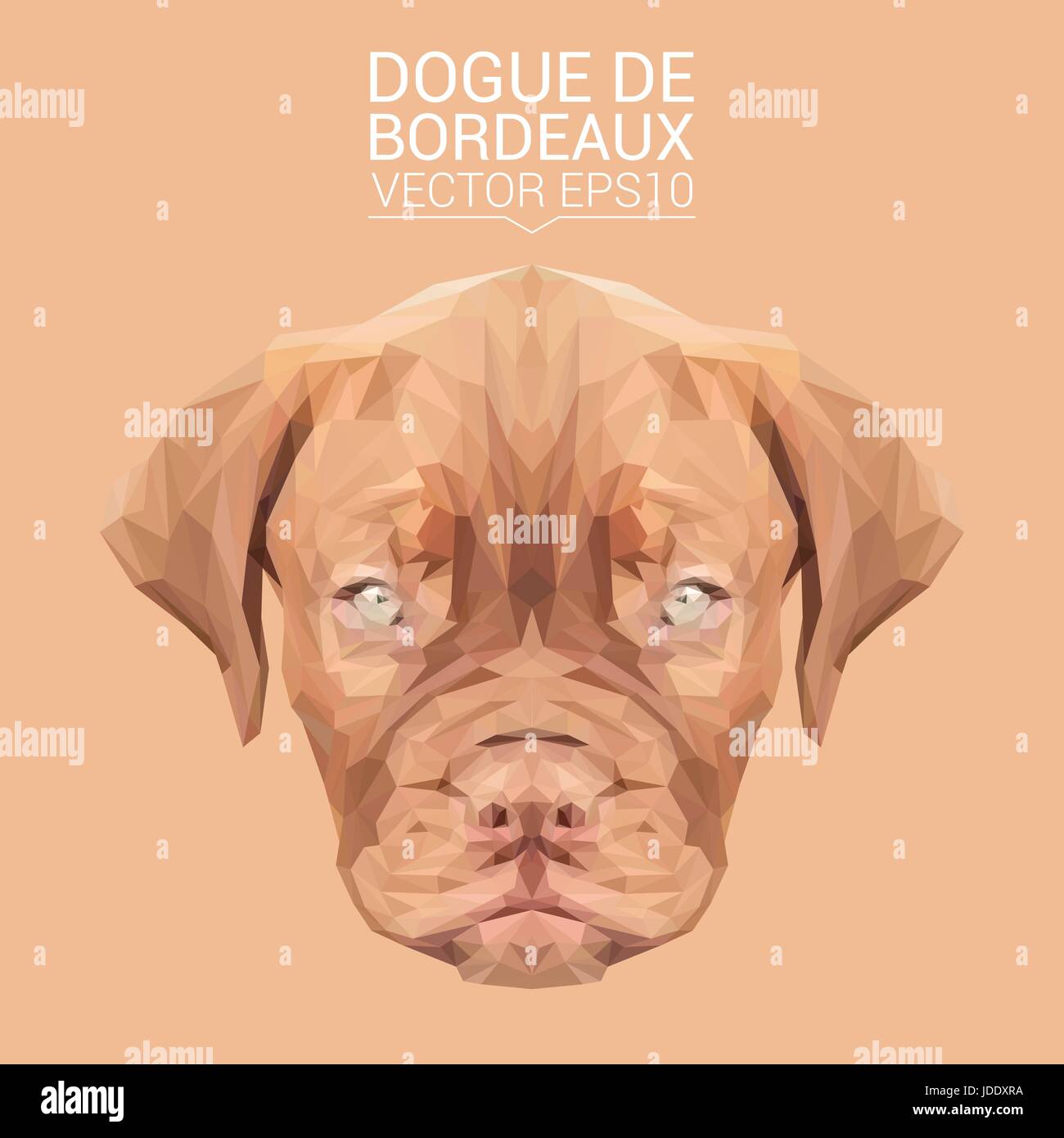 De Bordeaux Dogge Hund Tier low-Poly-Design. Dreieck-Vektor-Illustration. Stock Vektor