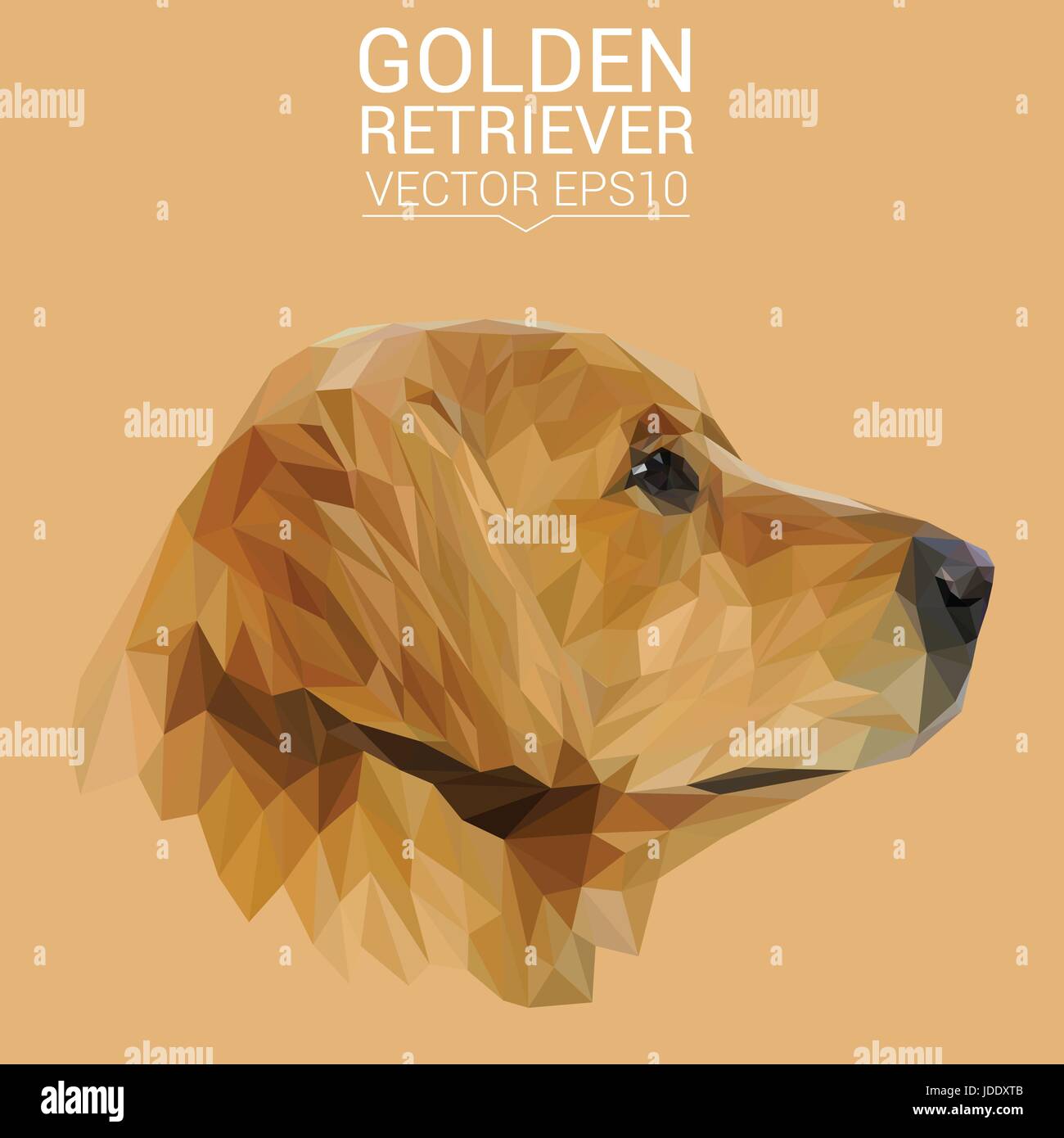 Golden Retriever Hund Tier low-Poly-Design. Dreieck-Vektor-Illustration. Stock Vektor