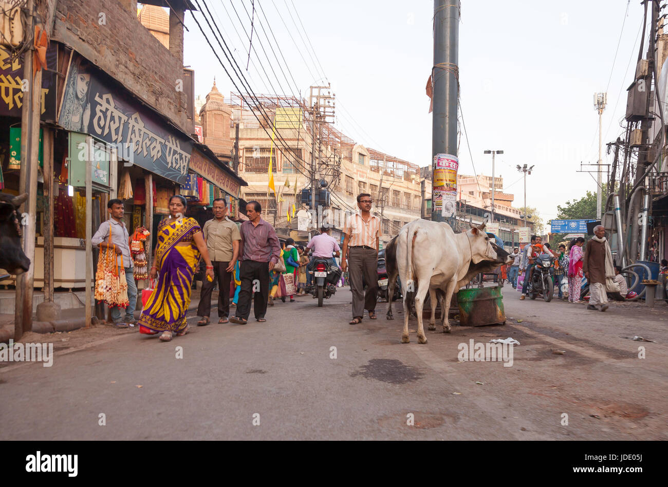 Indien, Asien, allgemeine Straßenszene in Indien zeigen, Geschäfte, Händler, Verkäufer, Obstverkäufer und vieles mehr. Stockfoto