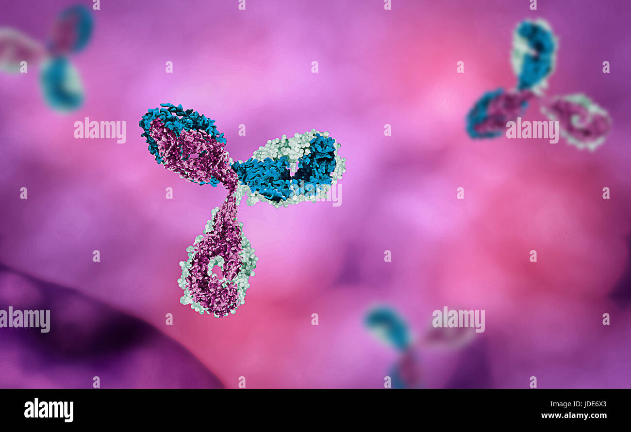 Anti-Körper in rosa und roten Hintergrund Stockfoto