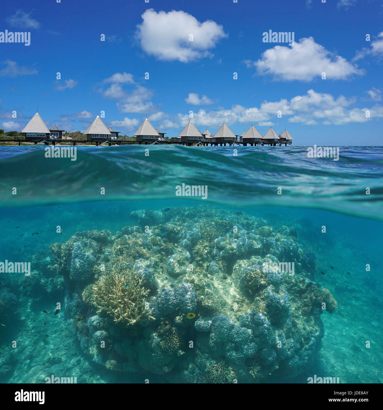 Über und unter dem Meer, massive Höhepunkt der Korallen Unterwasser und Resort mit Wasserbungalows Maitre Insel, Neu-Kaledonien, Südpazifik Stockfoto Über und unter dem Meer, massive Höhepunkt der Korallen Unterwasser und Resort mit Wasserbungalows Maitre Insel, Neu-Kaledonien, Südpazifik Stockfoto