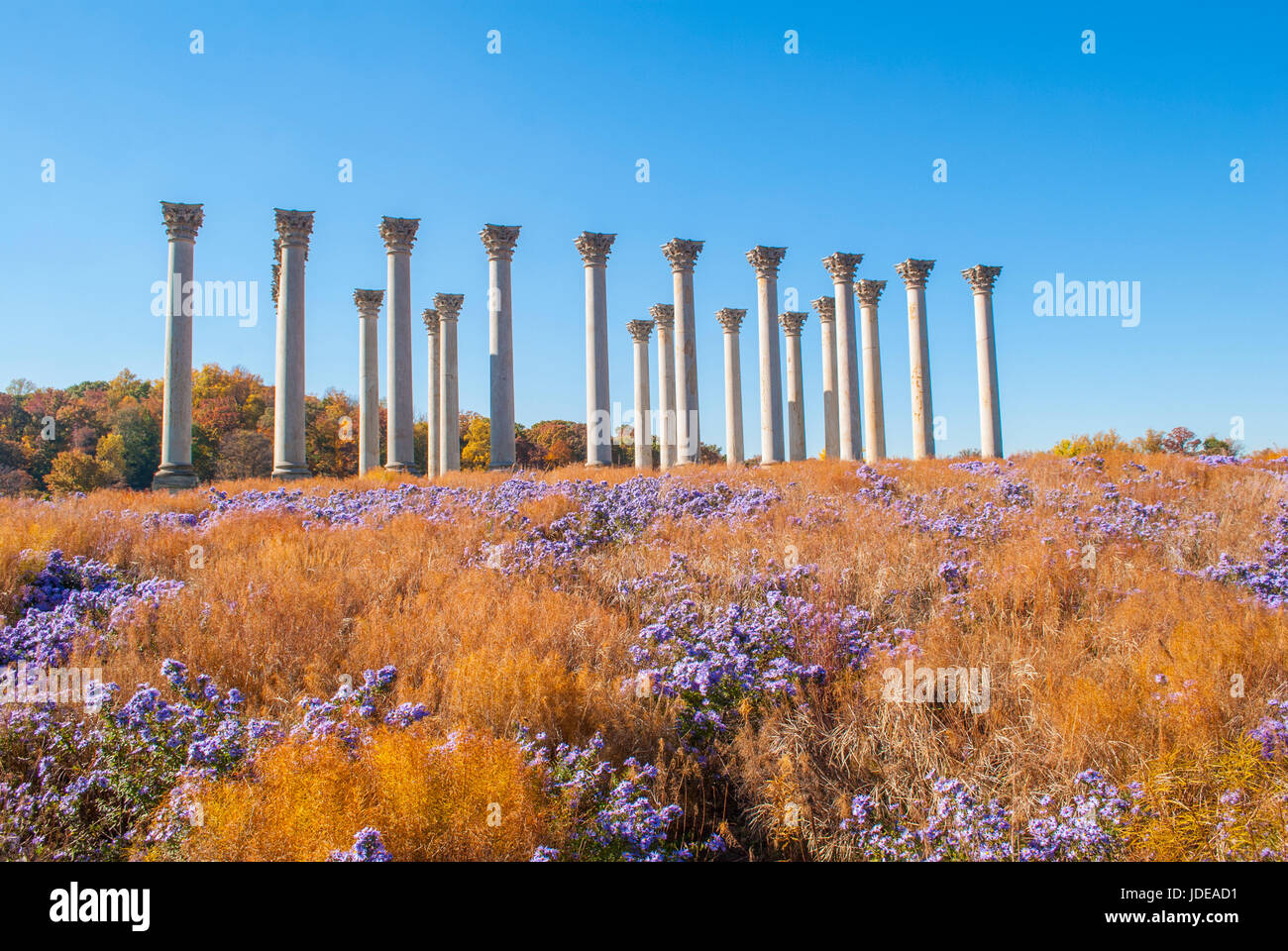 Spalten des Altbaus Kapital an die National Arboretum Stockfoto