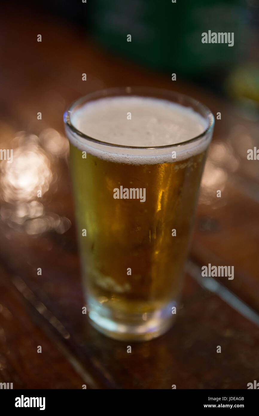 Pint Bier in einer Bar Stockfoto