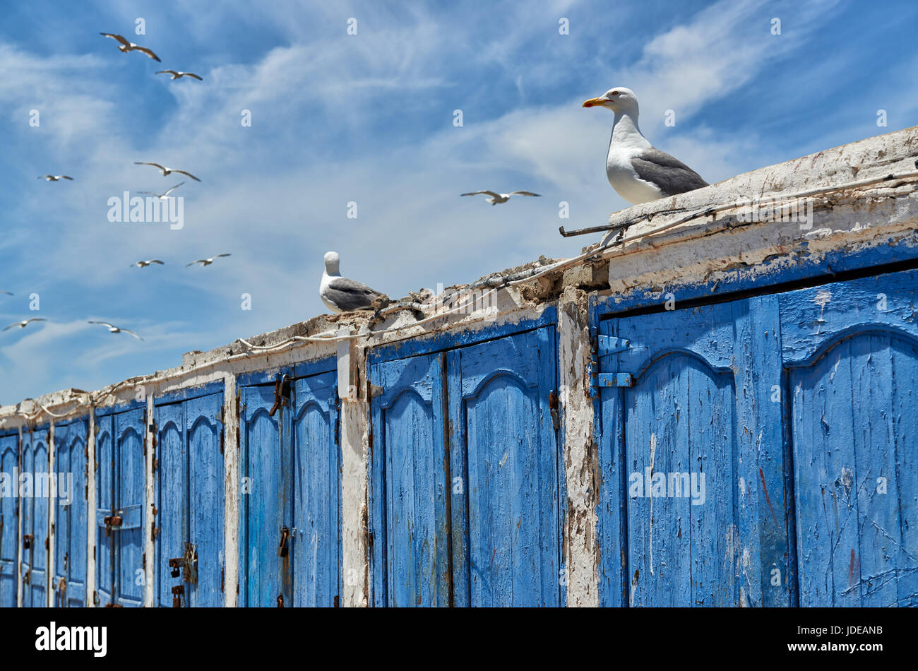 Blaue Reihe Holztueren von Hütten Mit Fischereiutensilien Im Hafen von Essaouira, Unesco Weltkulturerbe, Marokko, Afrika | blau Holztüren in gesperrt Stockfoto