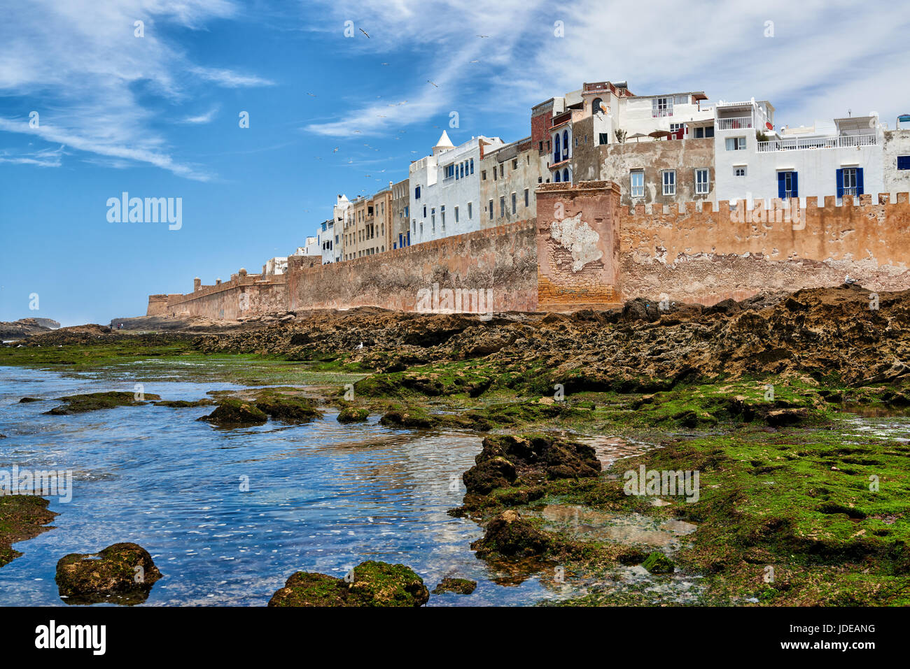 Wall und historische Medina von Essaouira gesehen von Ozean Website, UNESCO World Heritage Site, Marokko, Südafrika Stockfoto