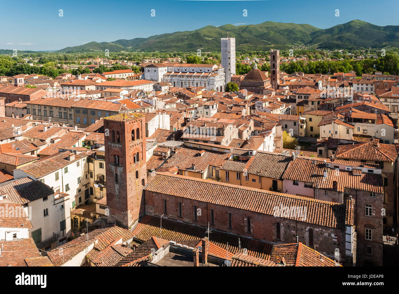 Luftaufnahme von Lucca in der Toskana, an einem sonnigen Nachmittag; die weiße Kirche im Hintergrund ist die Kathedrale Stockfoto