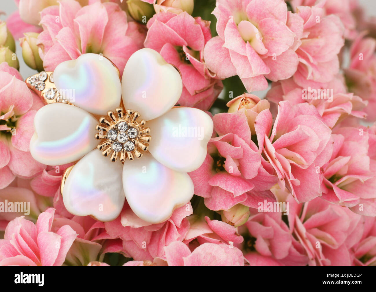 Schmuck auf rosa Blume Hintergrund Stockfoto