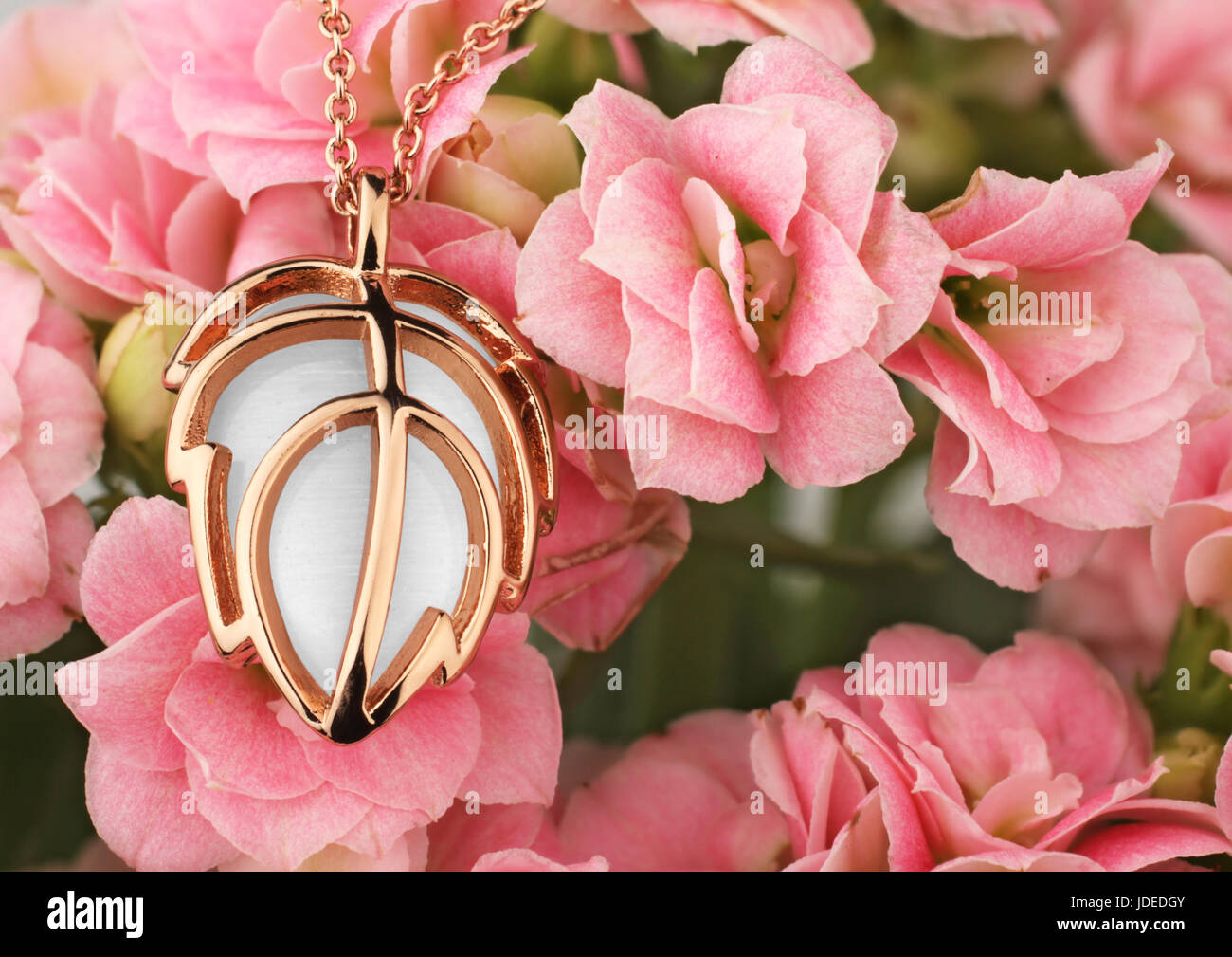 Goldener Schmuck Anhänger an rosa Blume Hintergrund Stockfoto