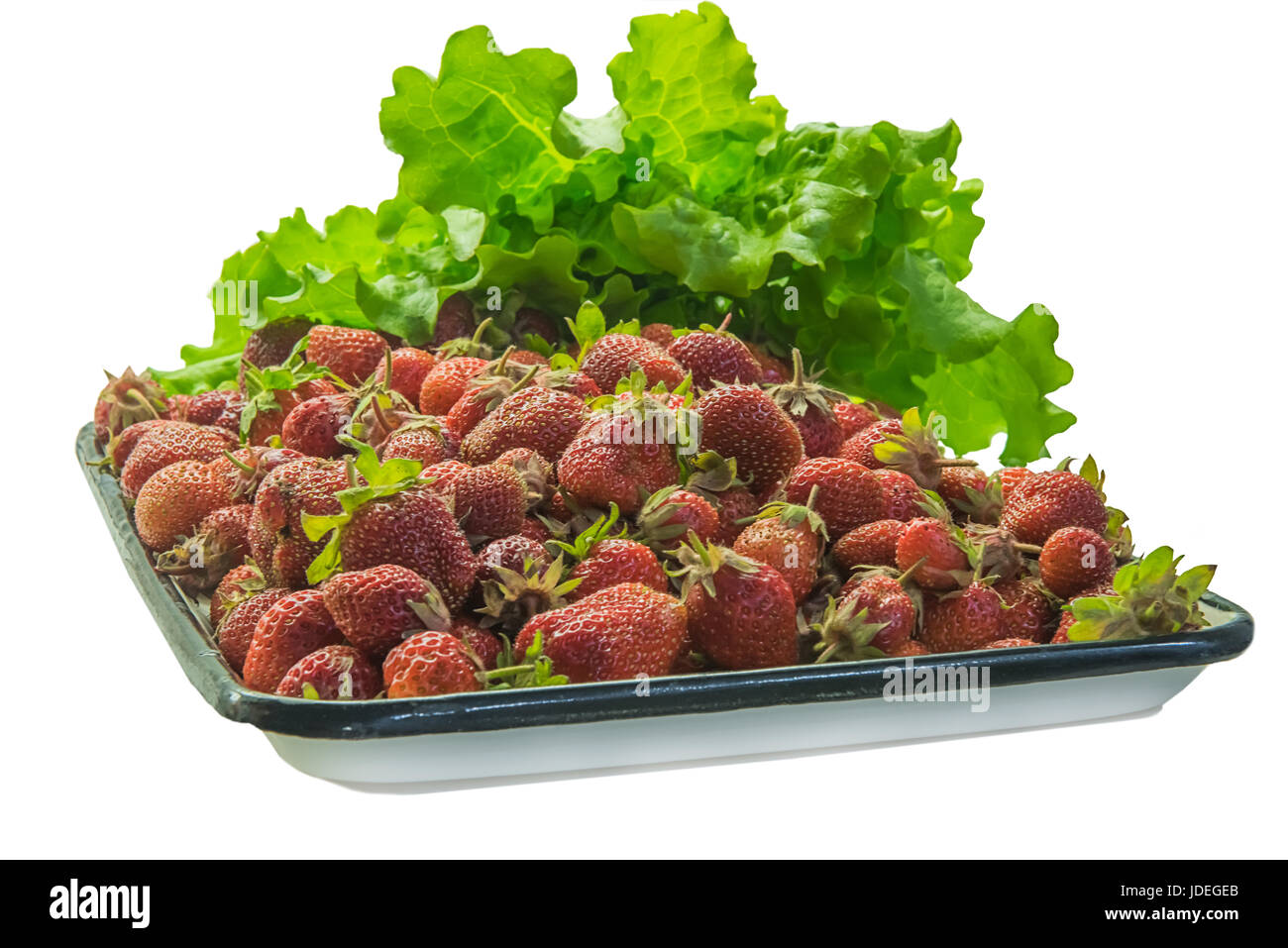 Auf weiß weiße und schwarze Fach oder quadratische Platte voll der roten Erdbeeren mit Salat dekoriert isoliert. Stockfoto