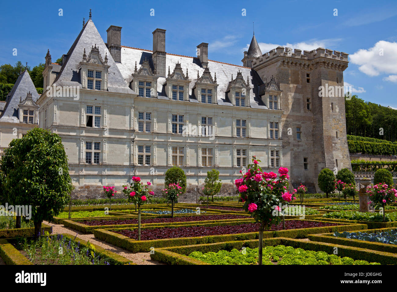 Villandry Chateau, Frankreich, Europa Stockfoto