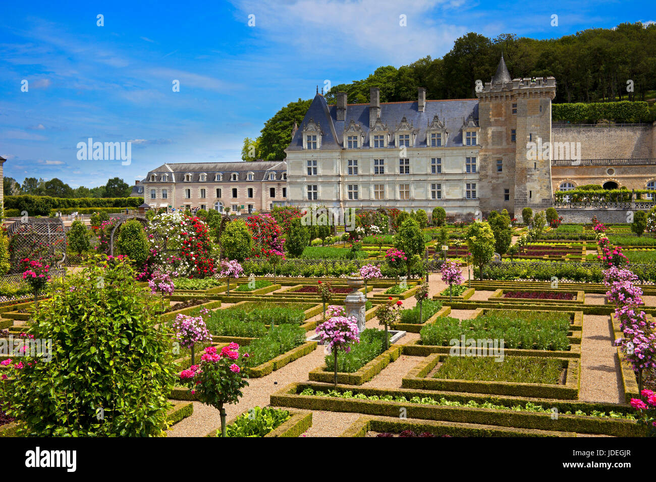 Schloss Villandry, Indre-et-Loire, Frankreich Stockfoto