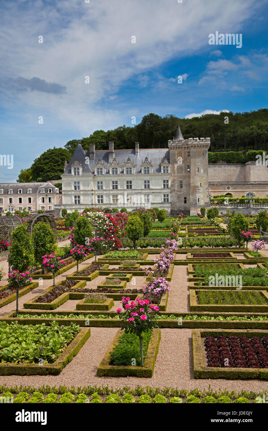 Schloss Villandry, Indre-et-Loire, Frankreich Stockfoto
