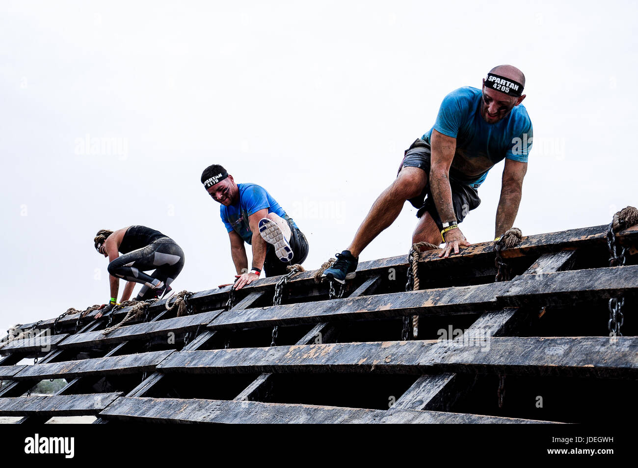 Spartan Race Dubai Stockfoto