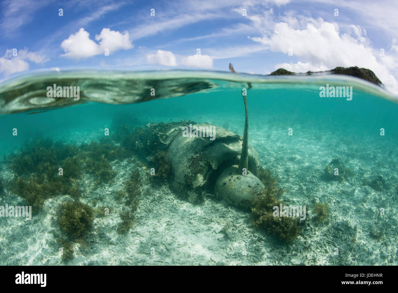 Japanische Jake Kämpfer Wasserflugzeug, Mikronesien, Palau Stockfoto