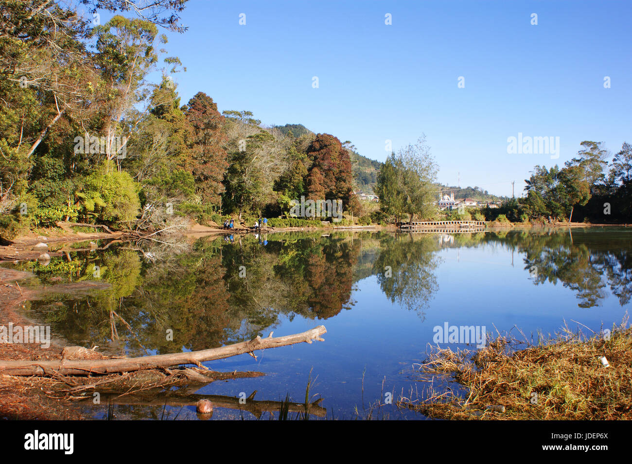 Telaga Warna, dieng Plateau, wonosobo, Zentraljava, Indonesien Stockfoto