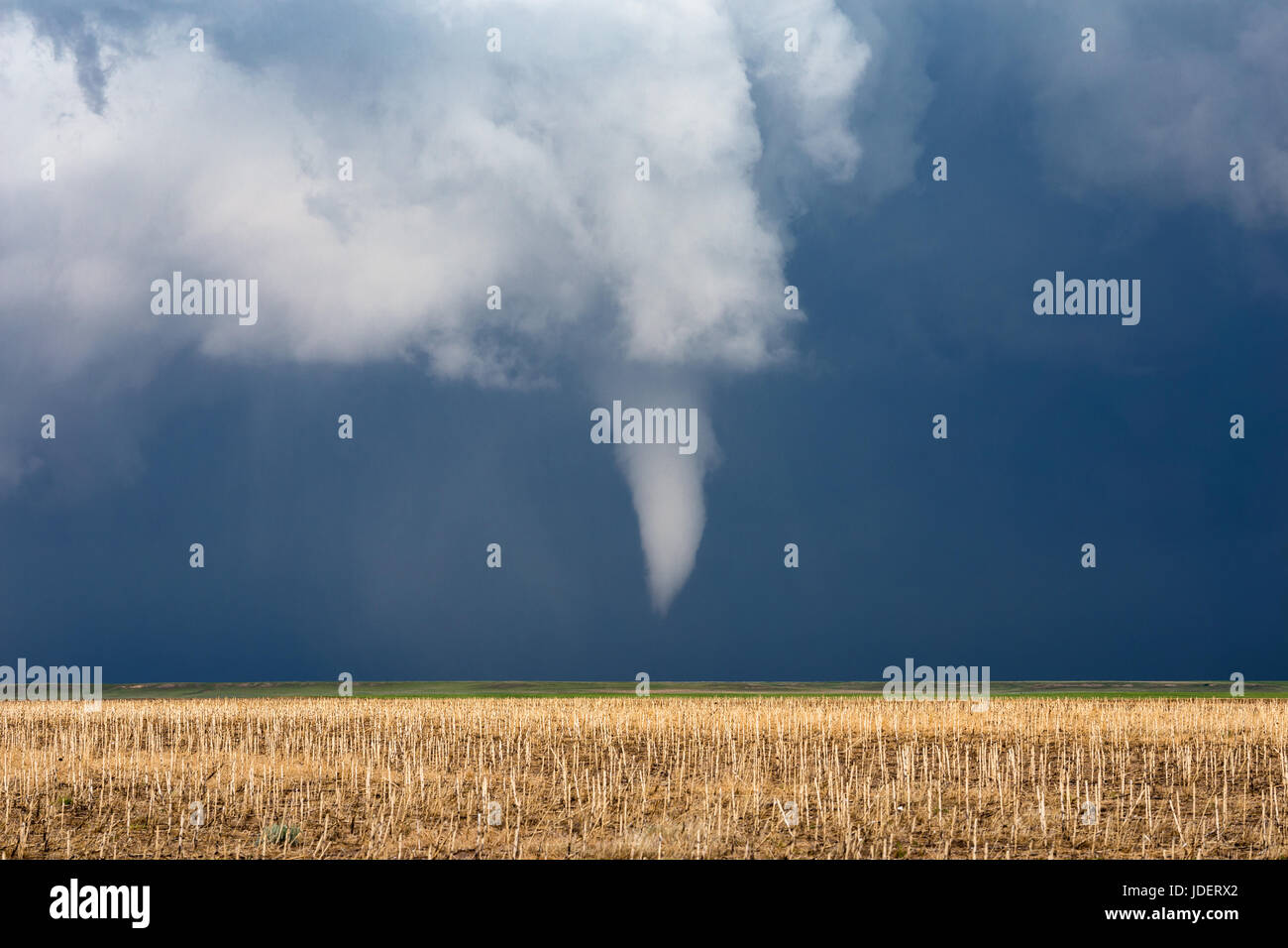 Trichterwolke und sich entwickelnder Tornado in der Nähe von Bushnell, Nebraska Stockfoto
