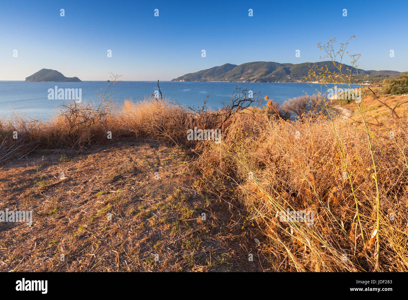 Trockenrasen auf der Küste von Zakynthos Island, Griechenland. Beliebte touristische Destination für den Sommerurlaub Stockfoto