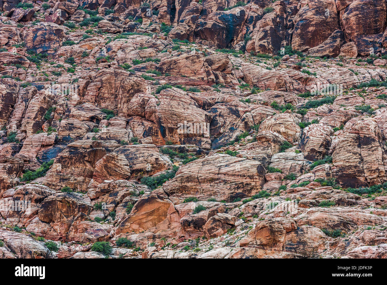 Detail der Böschung, Red Rock Canyon Stockfoto