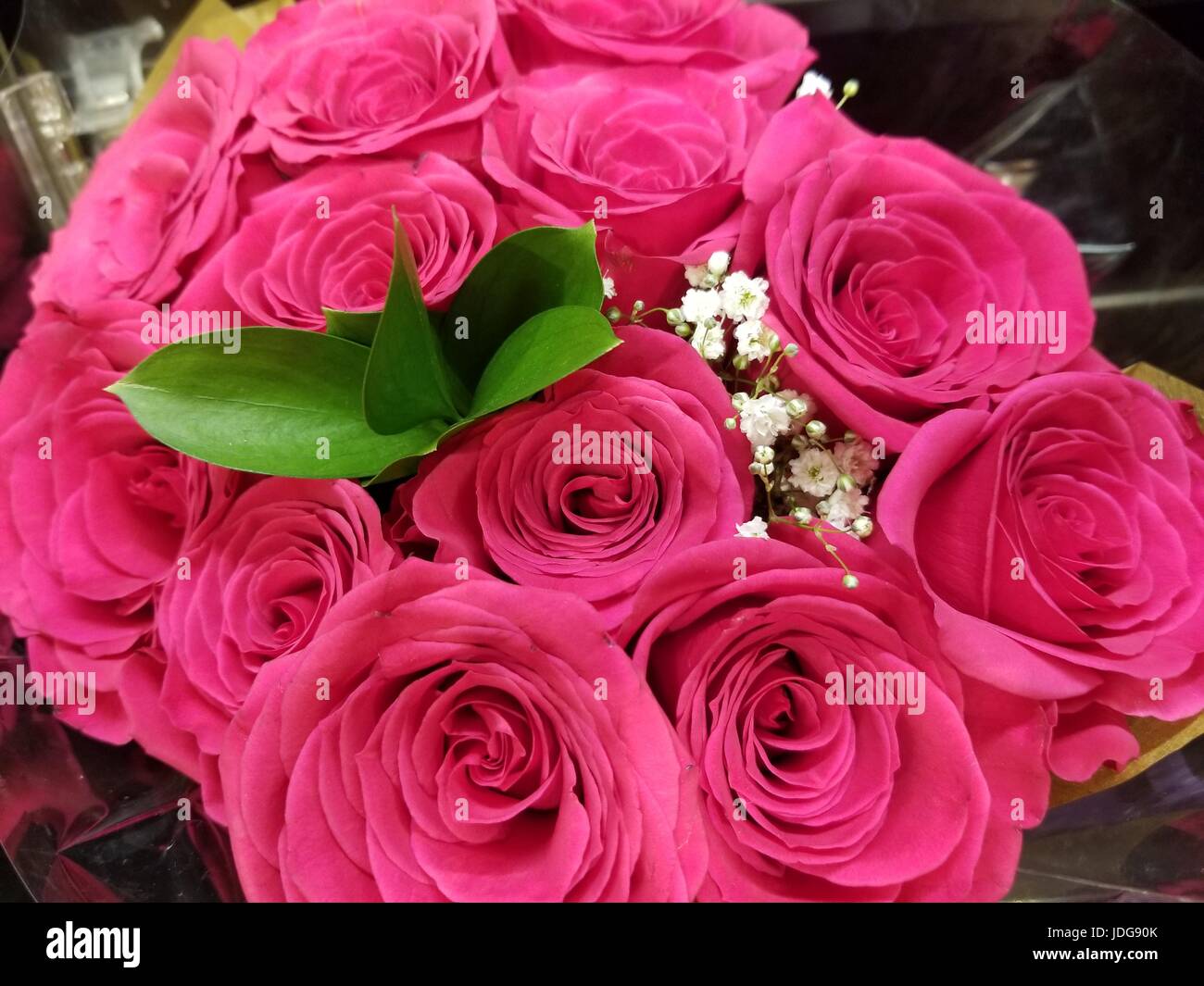 Schöner Blumenstrauß rosa Rosen. Fotografiert in einer natürlichen Umgebung bringt die feineren Sorten von rosa Farbtönen akzentuiert durch natürliche grüne Blätter. Stockfoto
