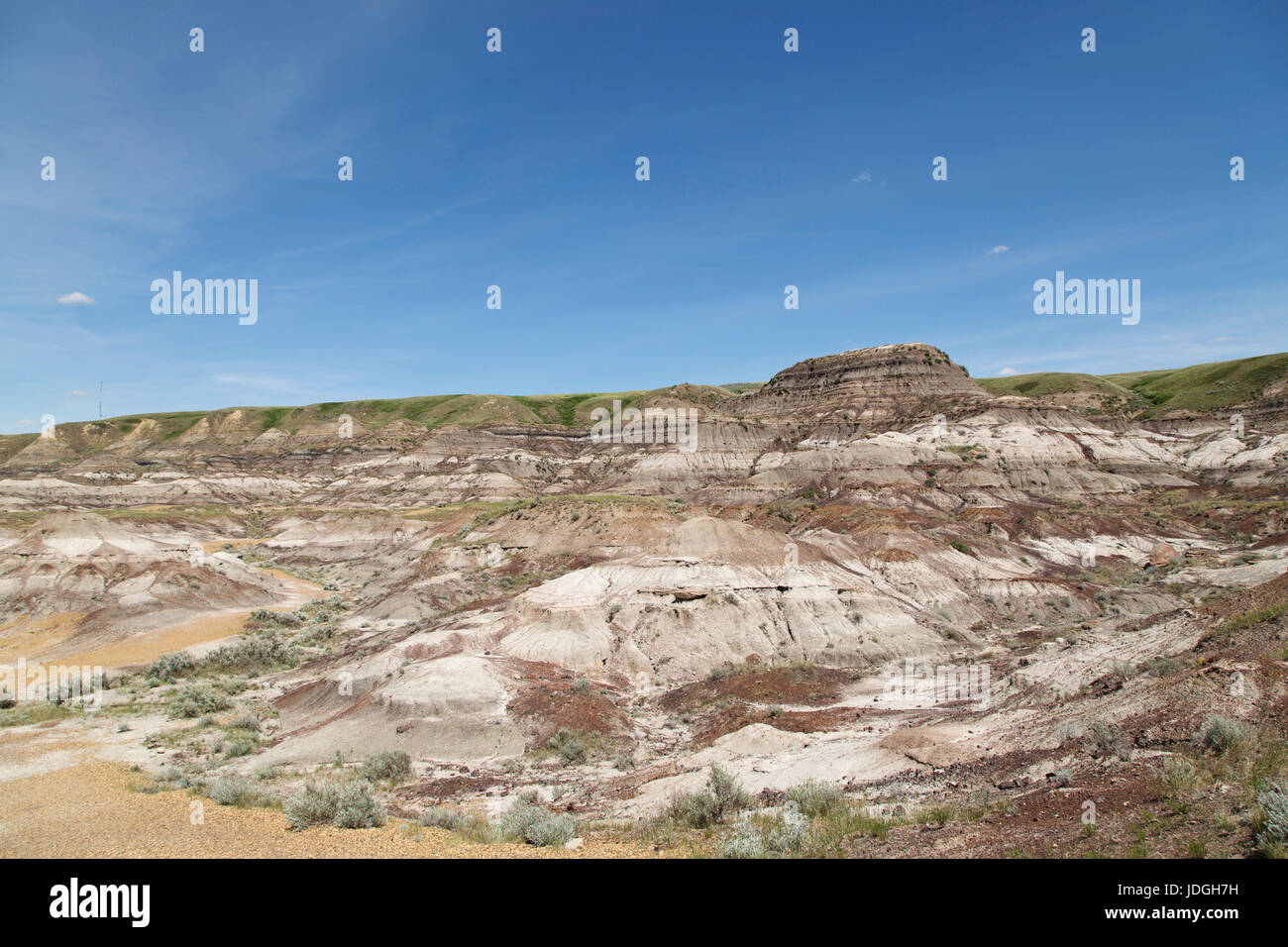 Einem flachen Hügel, bekannt als eine Bank, in Midland Provincial Park in der Nähe von Drumheller, in Alberta, Kanada. Der Park verfügt über ein Self-guided Trail für die Erkundung der Stockfoto