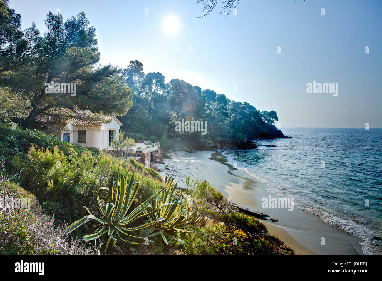 Frankreich, La Baie Var (83), Le Rayol-Canadel-Sur-Mer, Domaine du Rayol et la Pointe du Figuier, point de Départ du Jardin Marin (Nutzung Presse et Stockfoto