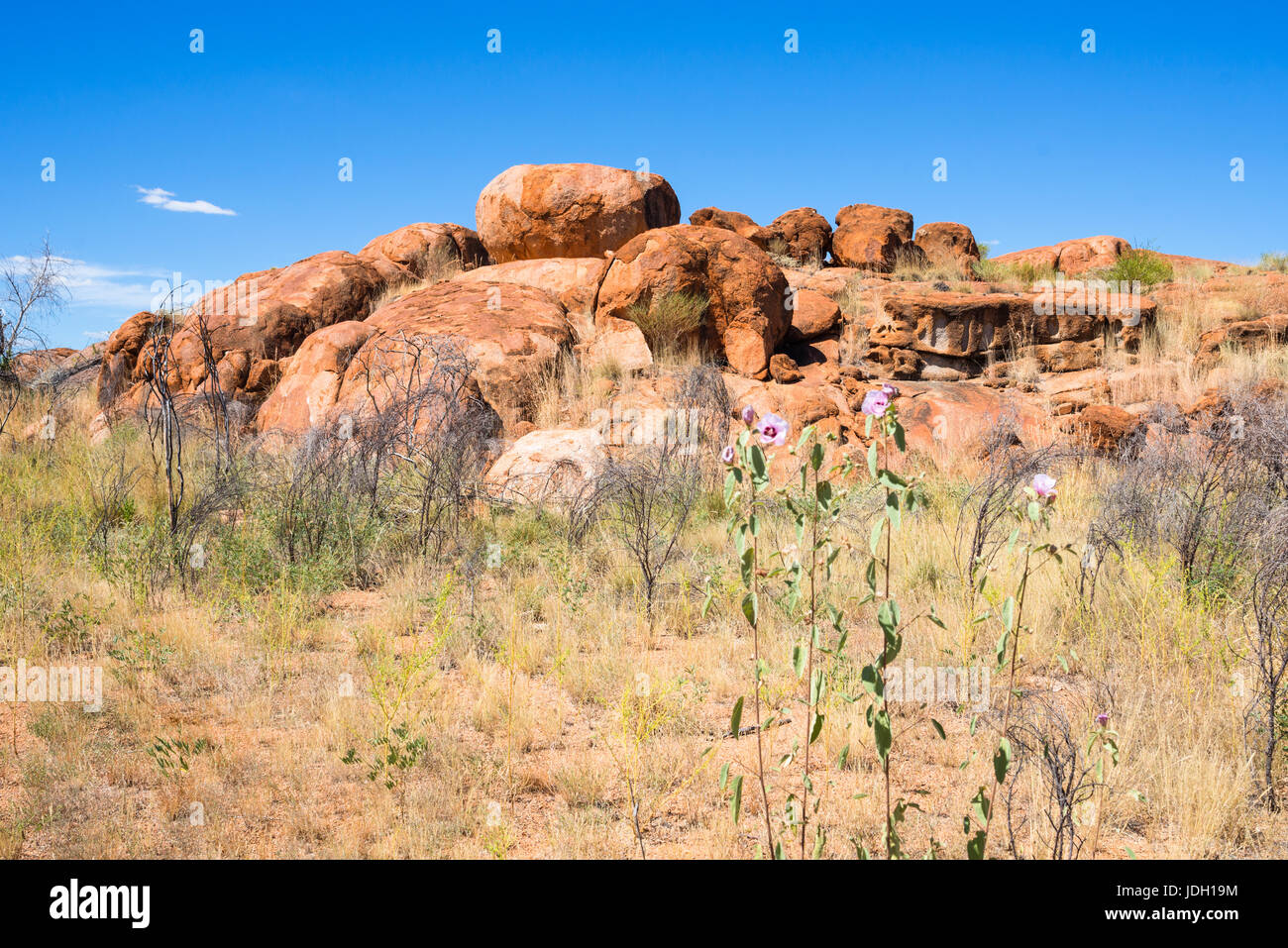 Devils Marbles - Felsen aus rotem Granit sind auf Grundgestein, Australien, Northern Territory ausgeglichen. Stockfoto