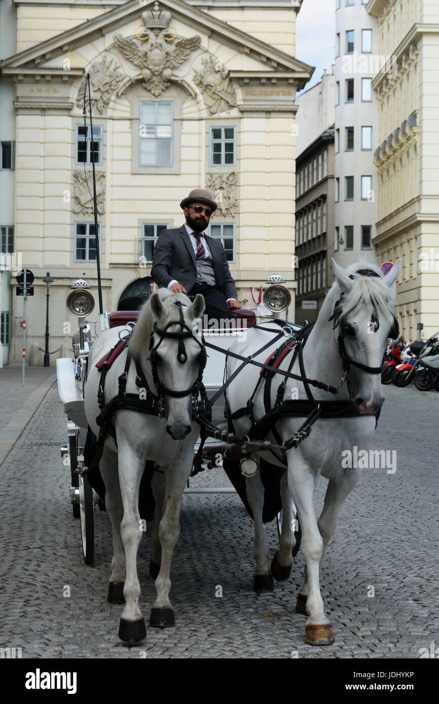 Österreich. Wien.  Pferdefuhrwerk für Touristen Stockfoto