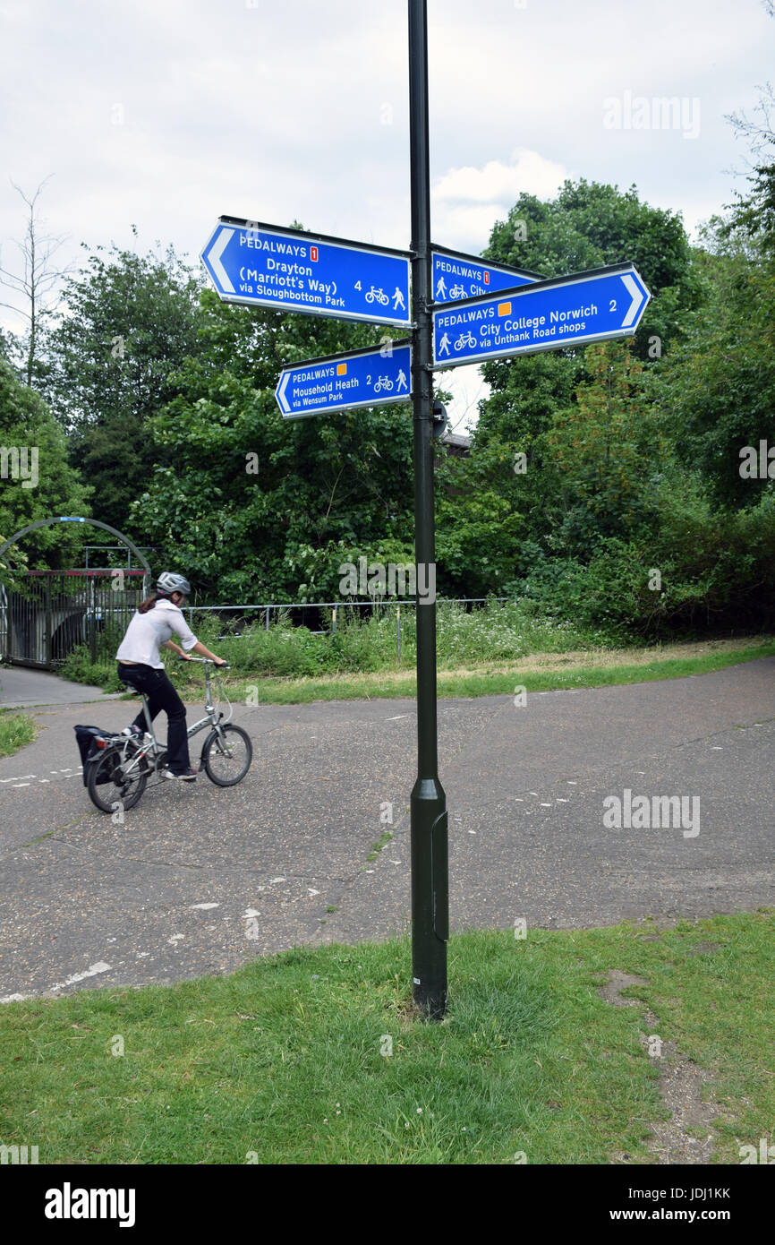 Marriot Weg (Radweg) & Pedalways Zeichen, sowie Park, Norwich UK Stockfoto