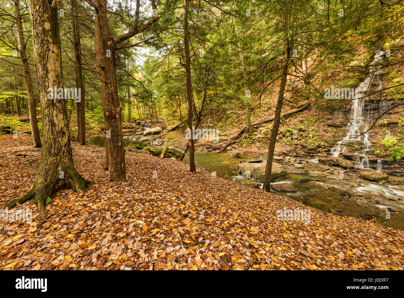 Bridal Veil Falls mündet Stoddard Creek im Herbst, Allegany State Park, Cattaraugus Co., New York Stockfoto