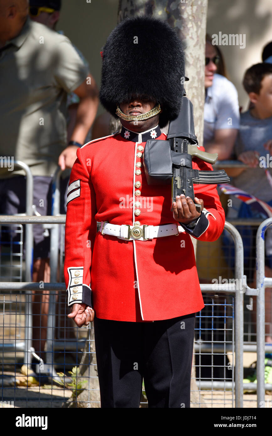 Ein Straßenliner der Coldstream Guard in Position für Trooping the Colour 2017, The Mall, London, UK Stockfoto