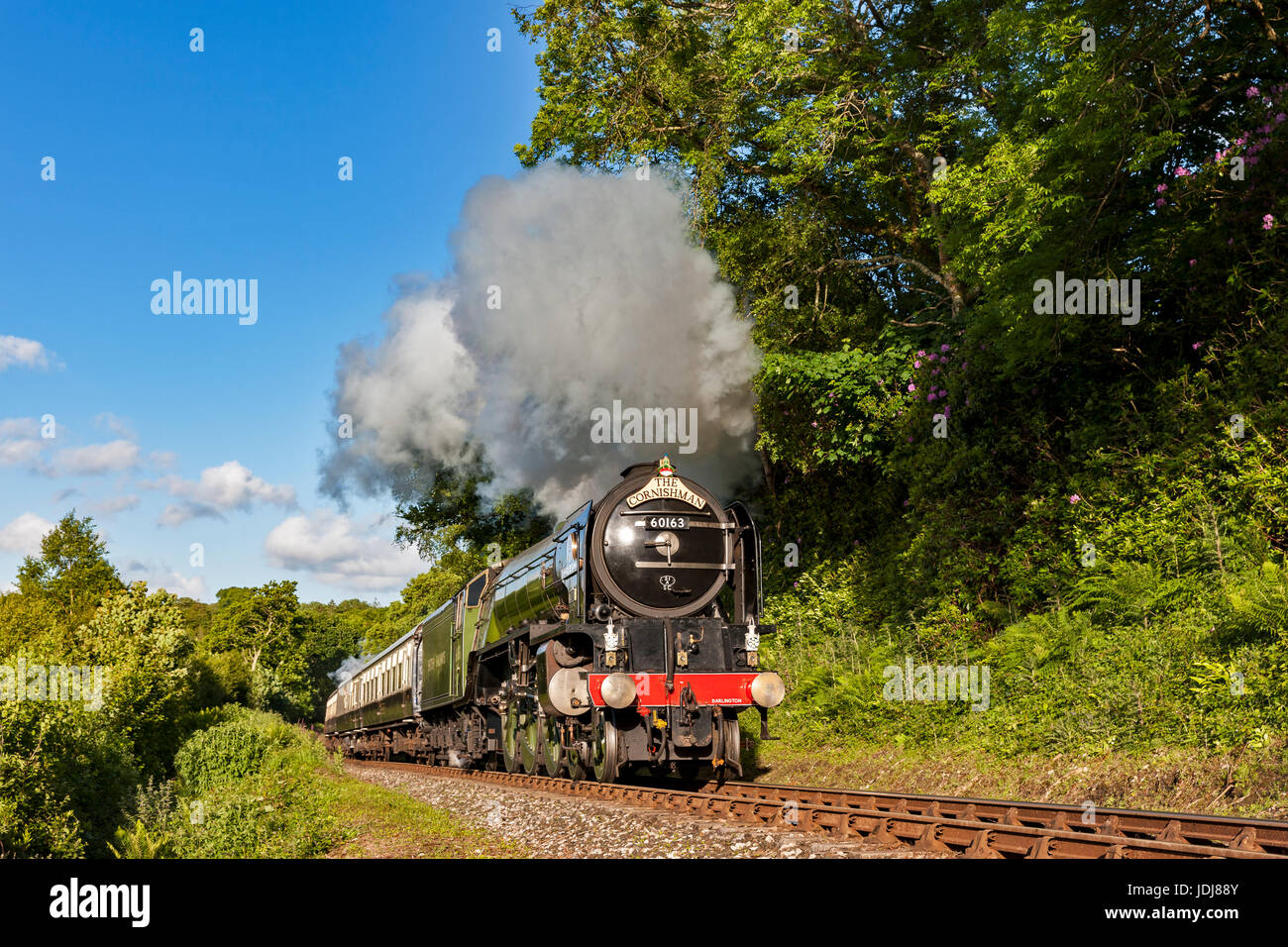 Tornado-Dampflok dämpfen die Bank mit dem Abendessen Zug entlang der Bodmin & Wenford Steam Railway. Bildnachweis: Barry Bateman Stockfoto