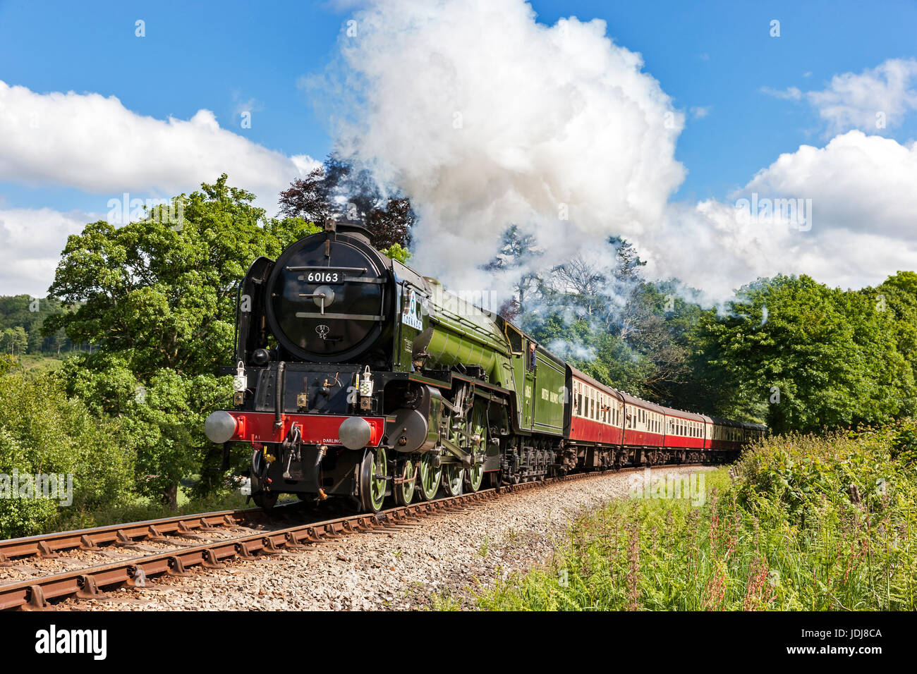 Tornado-Dampfmaschine dämpfen die Bank auf die Bodmin & Wenford Steam Railway Stockfoto