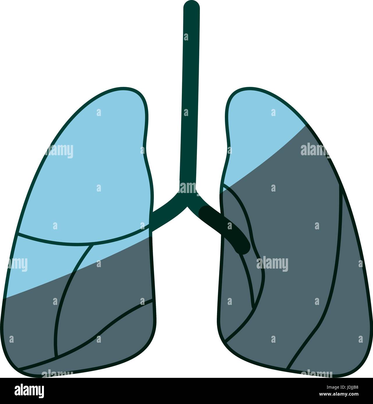 blaue Farbe schattieren Silhouette Atemwege Stock Vektor