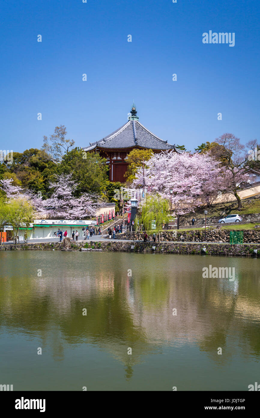 Eine Spiegelung Teich mit blühenden Kirschbäumen in Nara-Park, Nara, Präfektur Nara, Insel Honshu, Japan. Stockfoto