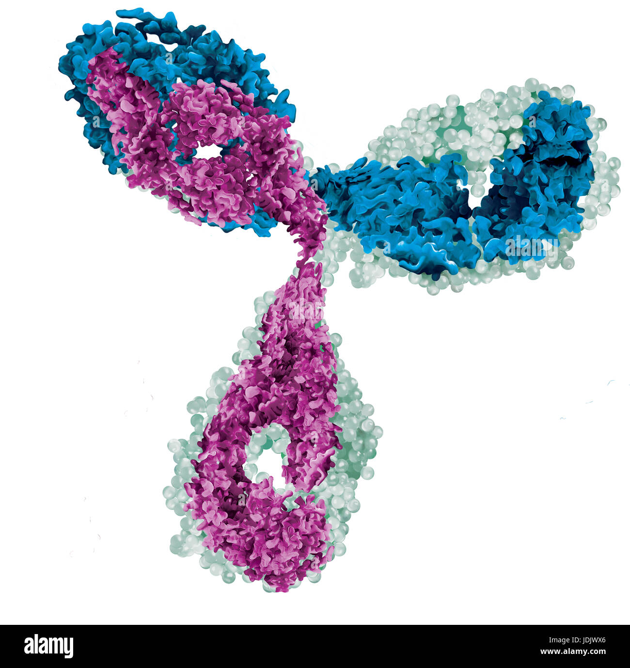 grafische Darstellung der medizinischen Wissenschaft Antikörper isoliert Hintergrund Stockfoto