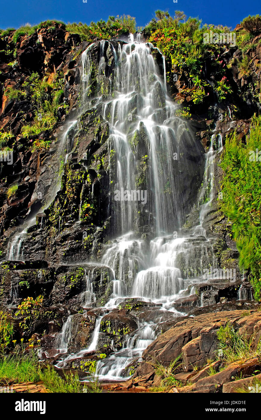 Wasserfall in der royal Natal National Park - Südafrika, Wasserfall Im Royal Natal Nationalpark - Suedafrika Stockfoto
