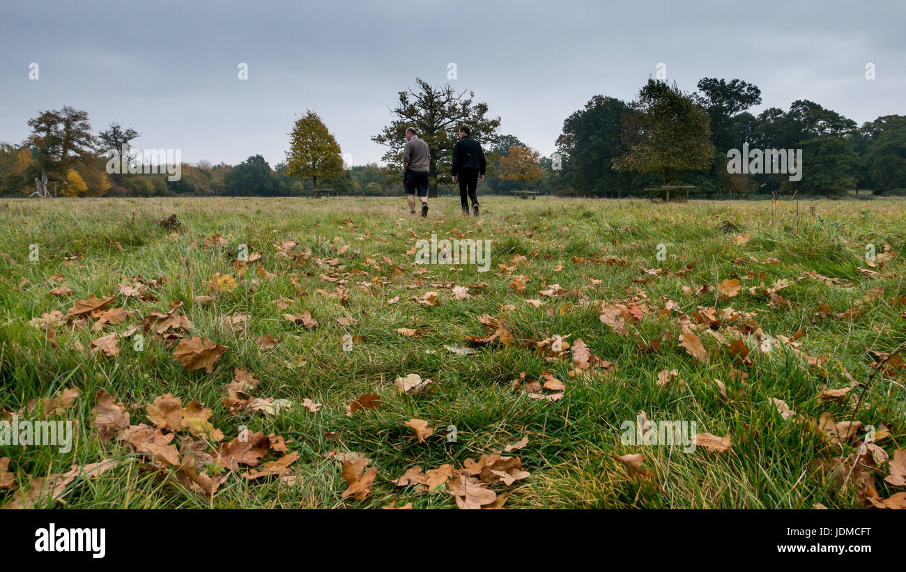 Herbst-Spaziergang, zwei Männer zu Fuß durch ein Feld mit Laub auf dem Rasen im Vordergrund Stockfoto