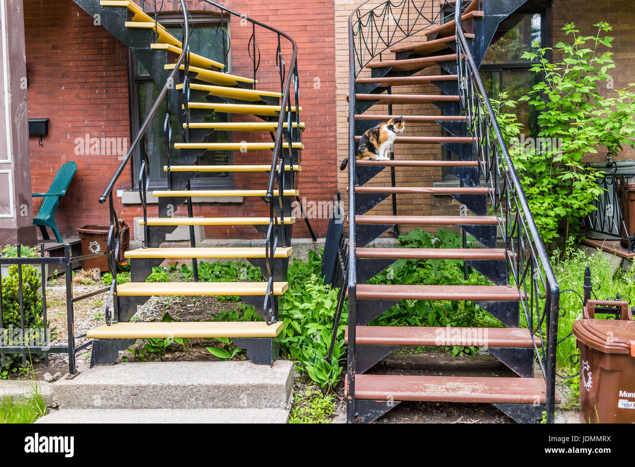 Montreal, Kanada - 27. Mai 2017: Calico Katze auf Treppen durch Wohnung im Viertel Plateau im Sommer im sonnigen Tag in der Stadt in Quebec wieder Stockfoto