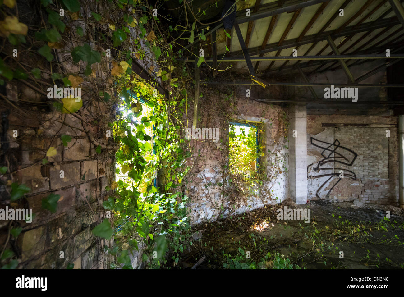 Hose überholen eine geschlossene und verlassene Gebäude Stockfoto