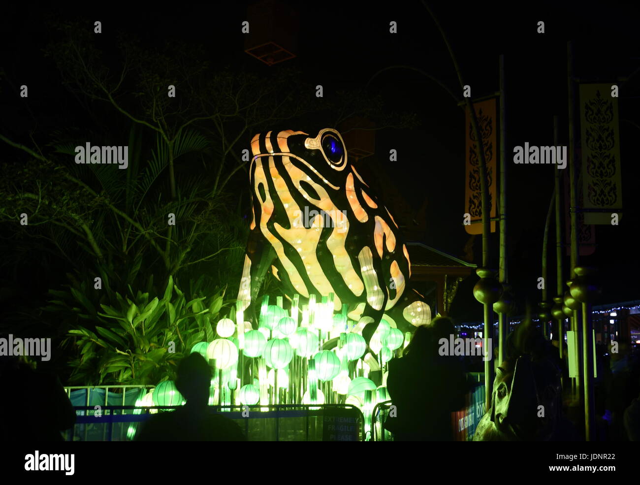 Sydney, Australien - 16. Juni 2017. Corroboree Frosch. Riesigen Multimedia-Lichtskulpturen auf dem herrlichen Gelände des Taronga Zoo bei Vivid Sydney Lichter Stockfoto