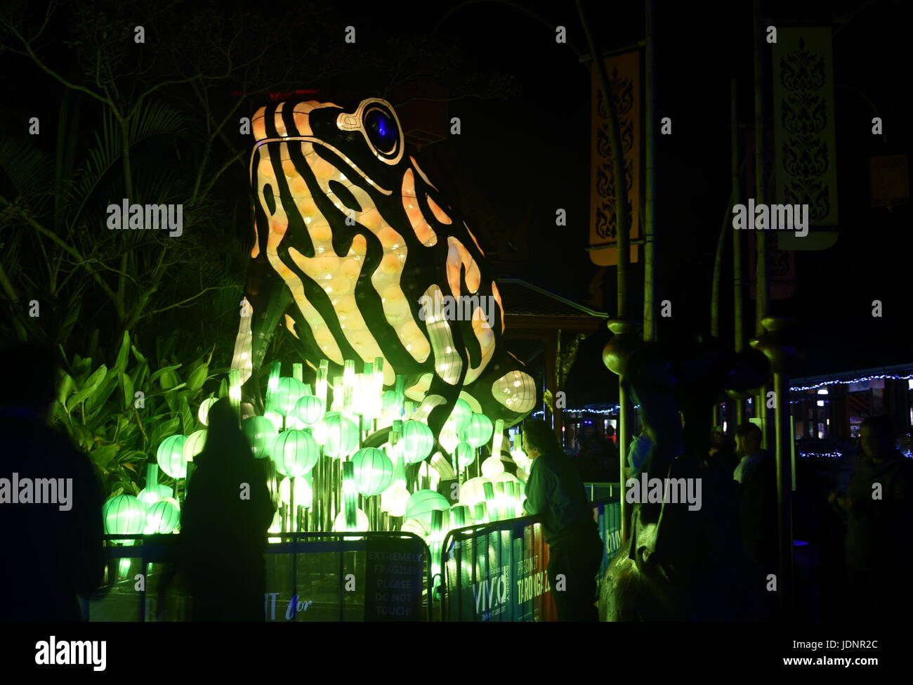 Sydney, Australien - 16. Juni 2017. Corroboree Frosch. Riesigen Multimedia-Lichtskulpturen auf dem herrlichen Gelände des Taronga Zoo bei Vivid Sydney Lichter Stockfoto