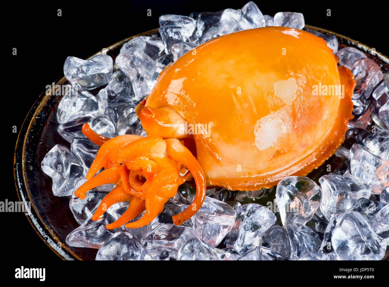 Frisch gekochter Tintenfisch auf Eis. Stockfoto